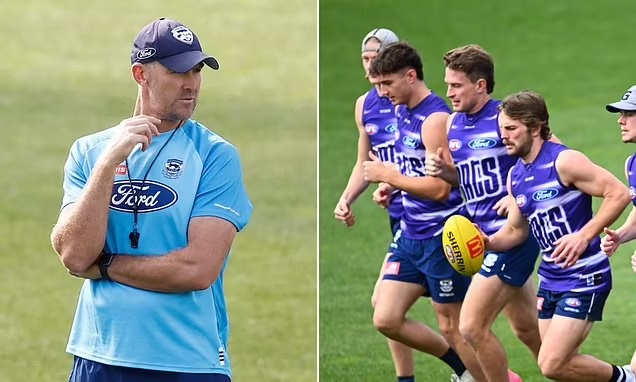 Sad News: Geelong Assistant Coach Steven King Collapses at Training, Ruled Out for AFL Grand Final Qualifier